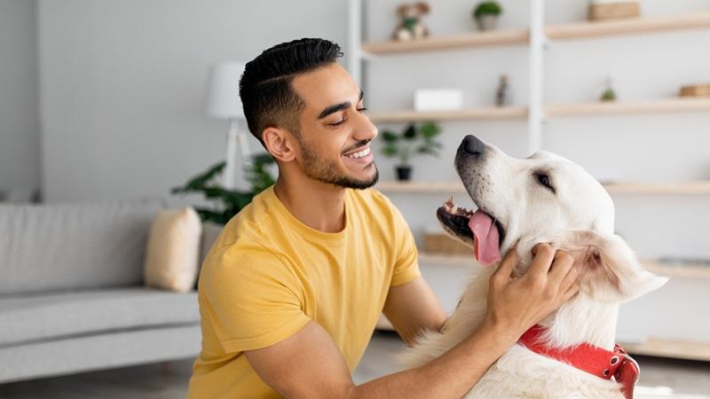 Young man hanging out with his dog in his apartment