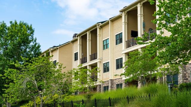 Mid-rise apartment building surrounded by vibrant green trees